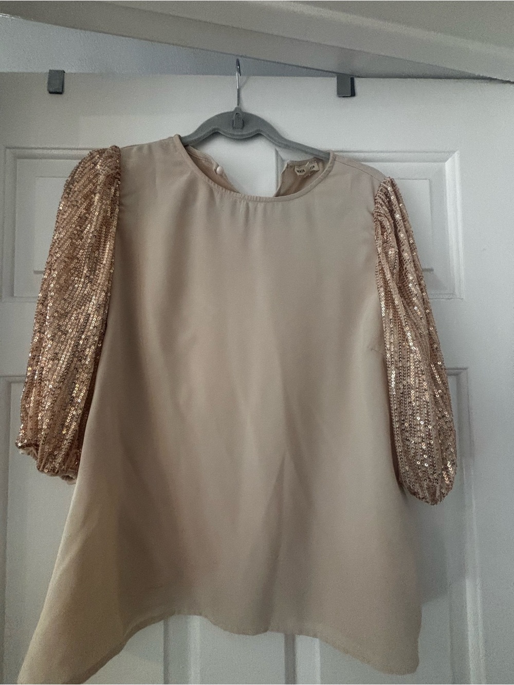Beige Top with Rose Gold Sequin Puff Sleeves